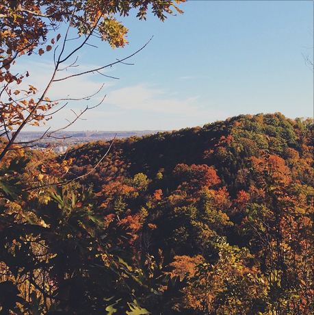 Source: thelovelocks / Instagram  "We live in such a beautiful country! Happy Thanksgiving!"