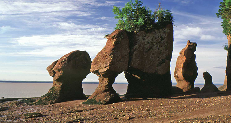 Bay of Fundy 750x400