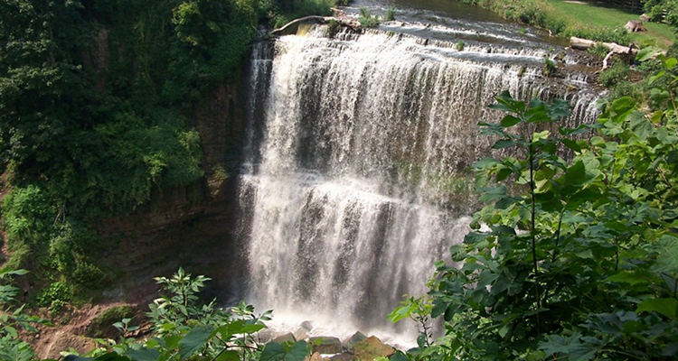 Webster Falls - Spencer Creek Gorge