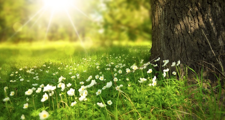 country spring activities
